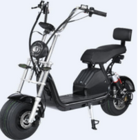 Electron Electric Scooter