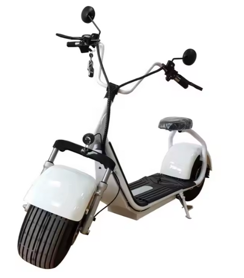 Fat Tire Scooter