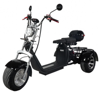 Joule Electric Trike