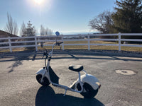 Fat Tire Electric Scooter