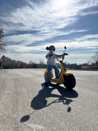 Fat Tire Electric Scooter